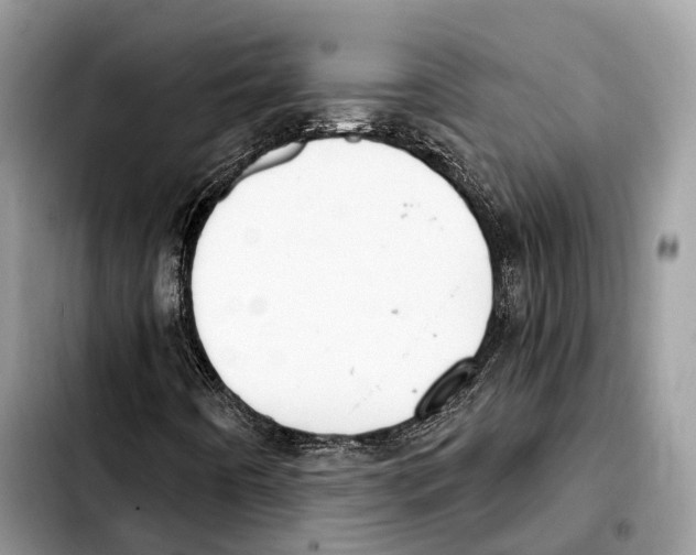 X0000103461442200810101139