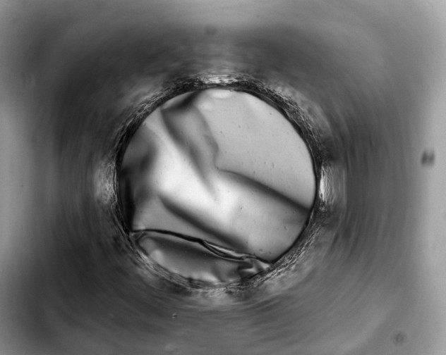 X0000103461444200810101139
