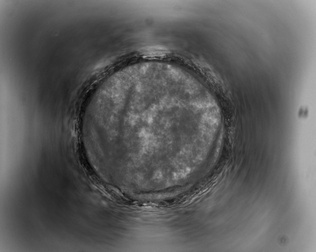 X0000103461445200810101139