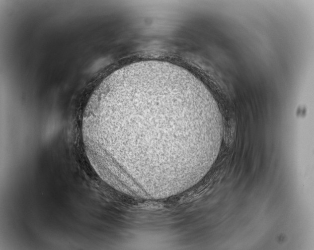X0000103461446200810101139
