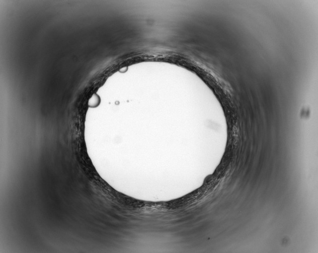 X0000103461447200810101139