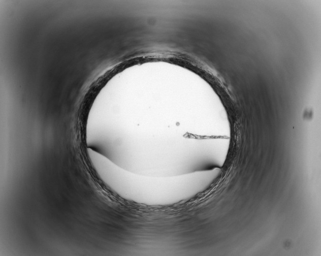 X0000103461448200810101139