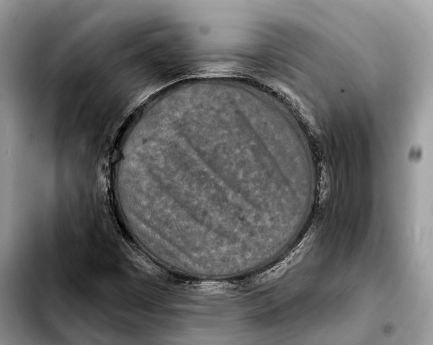 X0000103461449200810101139