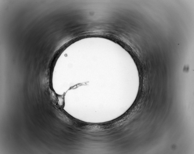X0000103461450200810101139