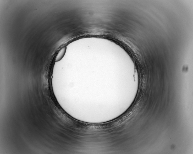 X0000103461451200810101139