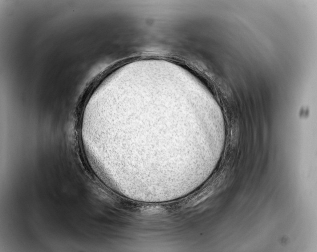 X0000103461454200810101139