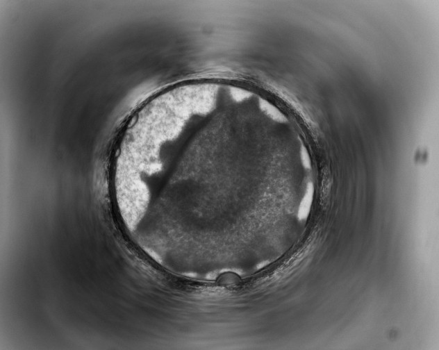 X0000103461455200810101139