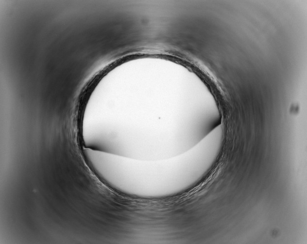 X0000103461456200810101139