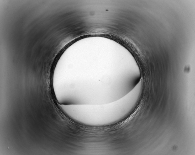 X0000103461457200810101139