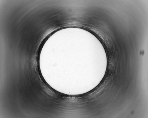 X0000103461458200810101139