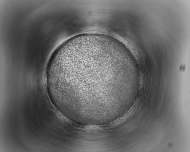 X0000103461462200810101139