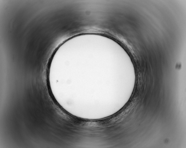 X0000103461463200810101139