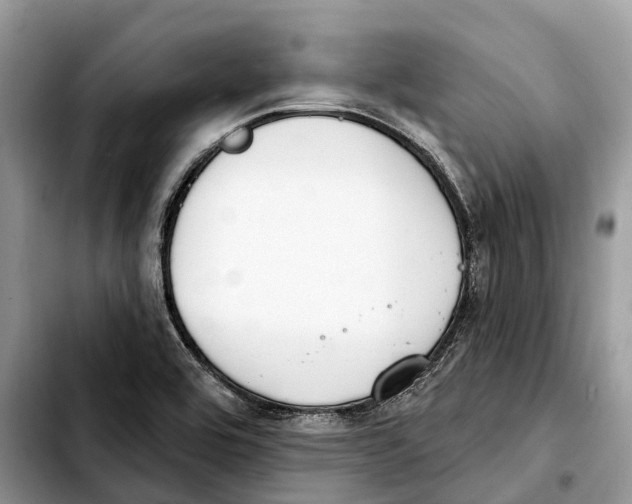 X0000103461464200810101139