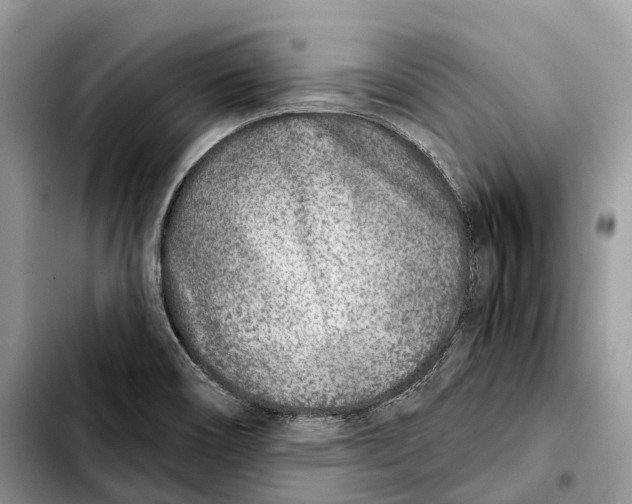 X0000103461466200810101139