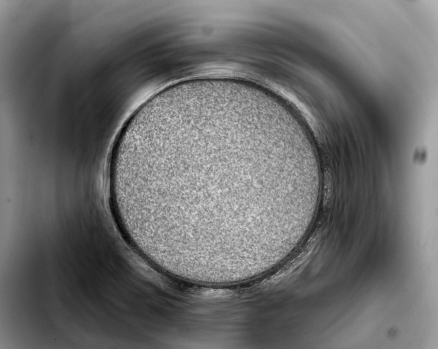 X0000103461467200810101139