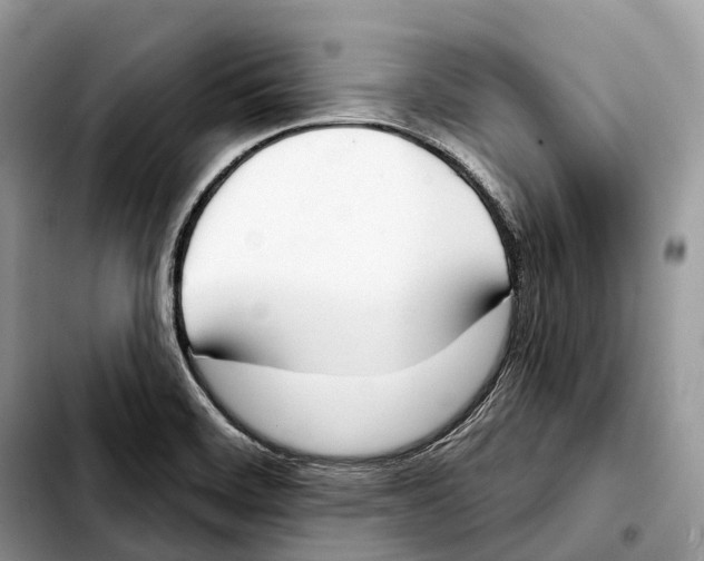 X0000103461468200810101139