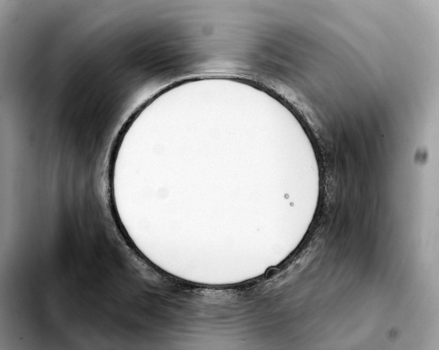 X0000103461469200810101139