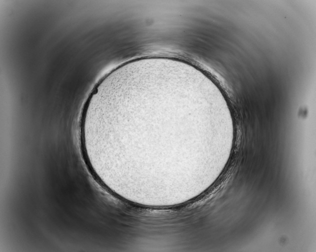 X0000103461471200810101139