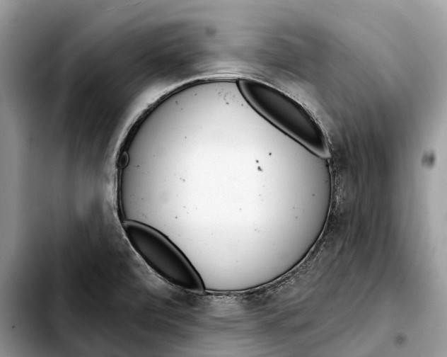 X0000103461472200810101139