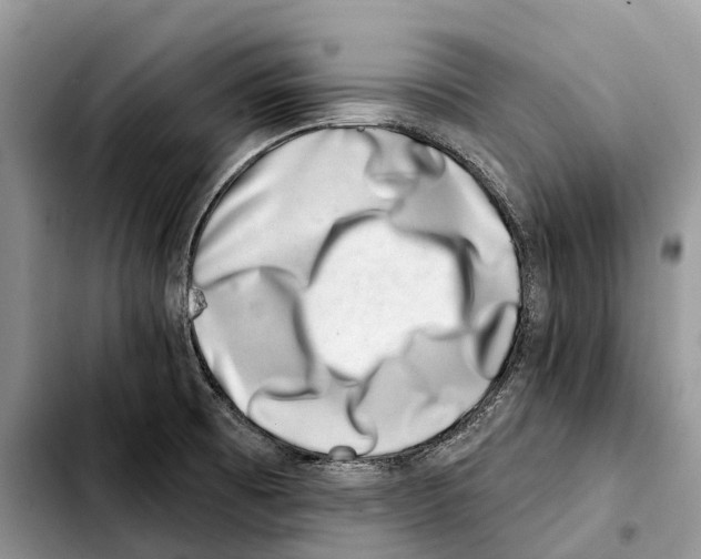 X0000103461473200810101139