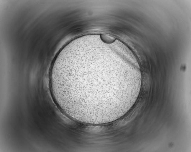X0000103461474200810101139