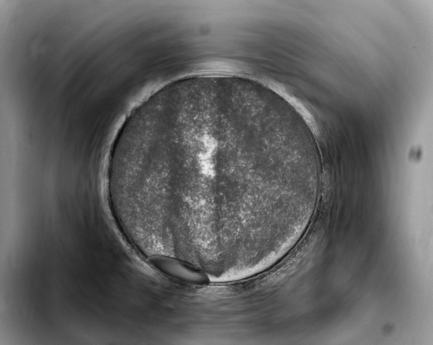 X0000103461477200810101139