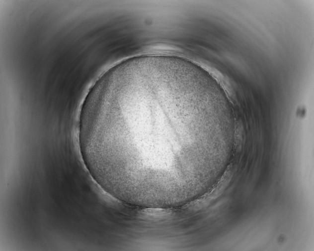 X0000103461478200810101139