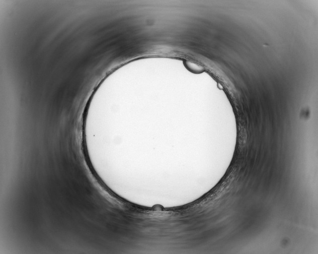 X0000103461479200810101139