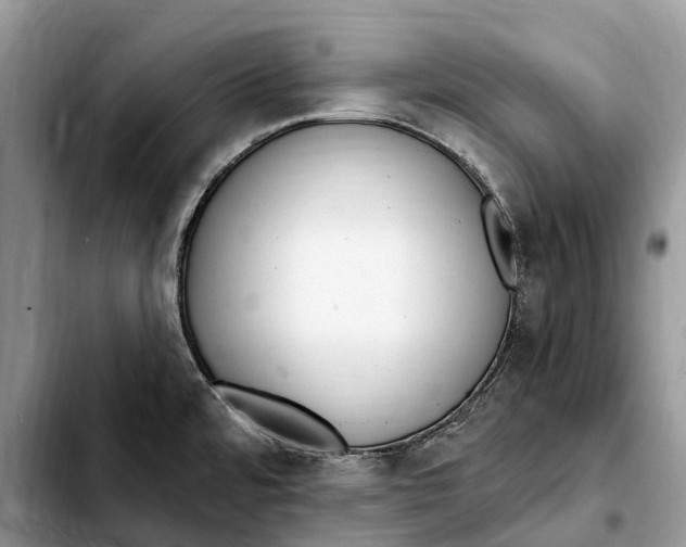 X0000103461480200810101139