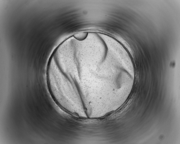 X0000103461482200810101139