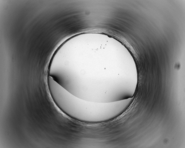 X0000103461484200810101139