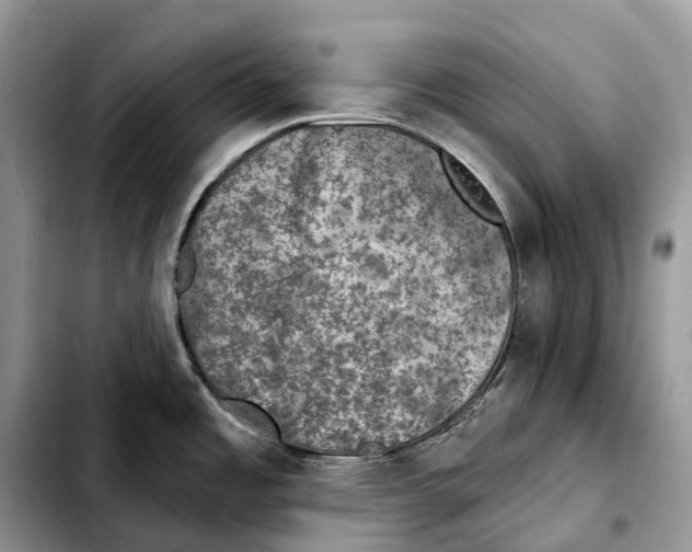 X0000103461485200810101139