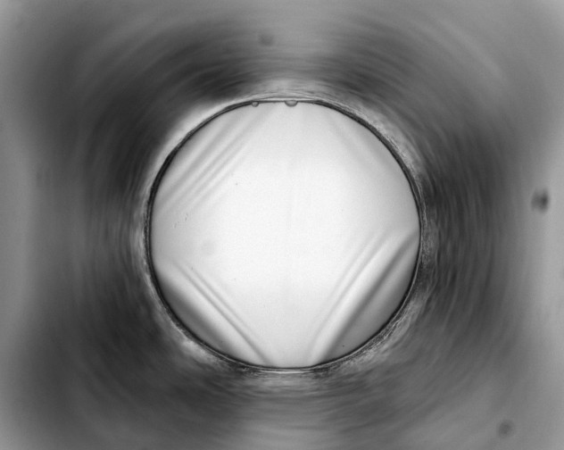 X0000103461486200810101139