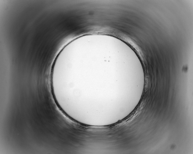 X0000103461487200810101139