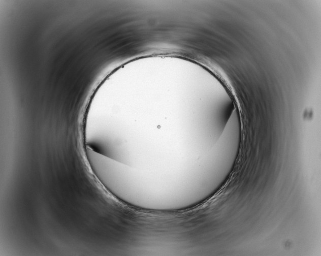 X0000103461488200810101139