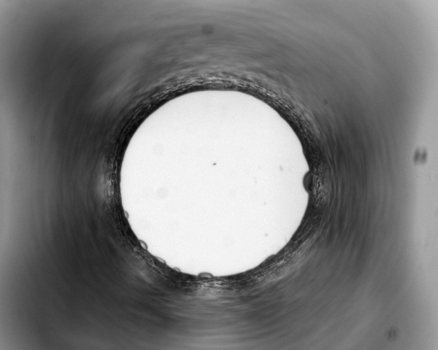 X0000103461490200810101138