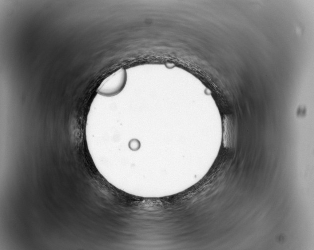 X0000103461491200810101138