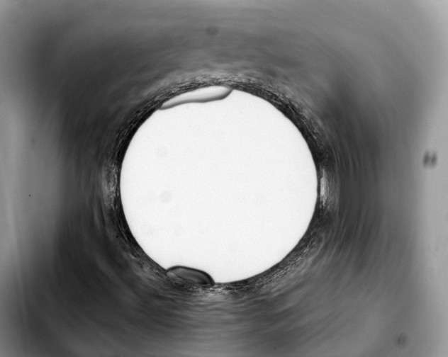 X0000103461492200810101138