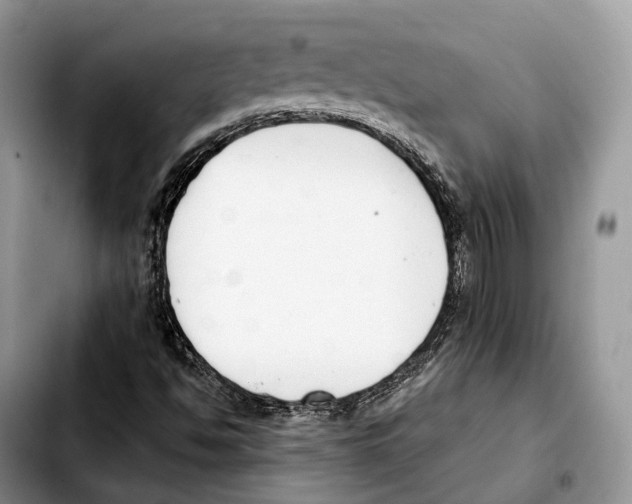 X0000103461494200810101138