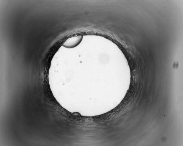 X0000103461495200810101138