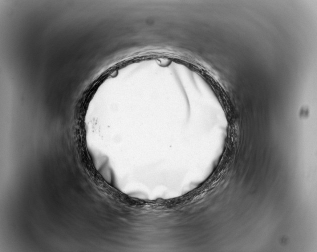 X0000103461496200810101138