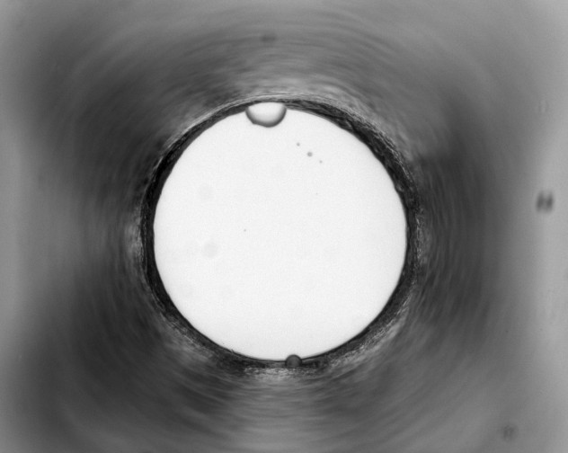 X0000103461497200810101138