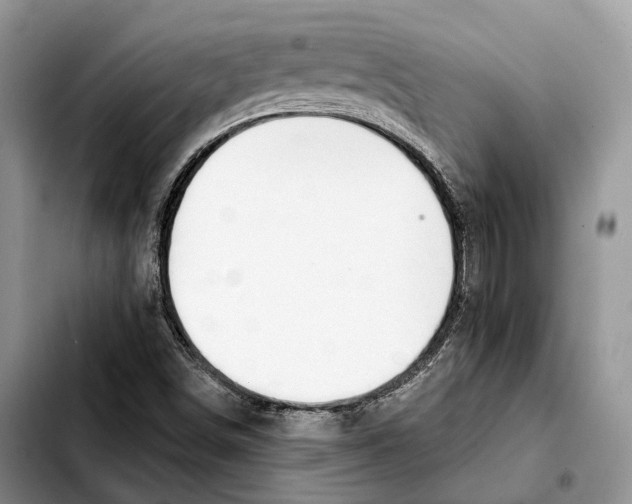 X0000103461498200810101138