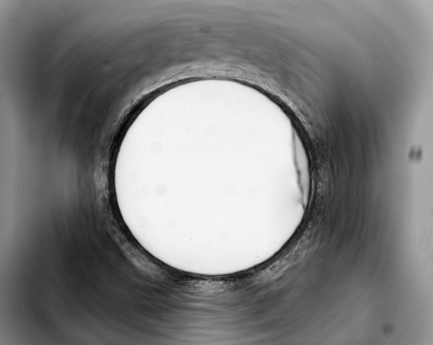 X0000103461499200810101138