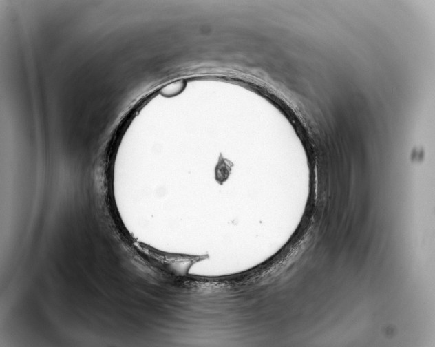 X0000103461501200810101138