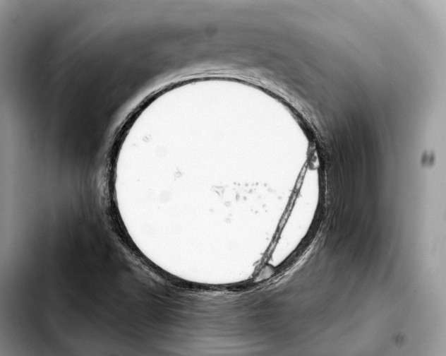 X0000103461502200810101138