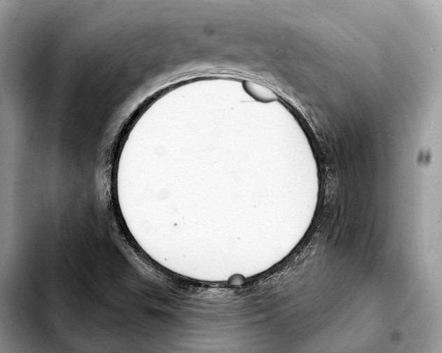 X0000103461503200810101138