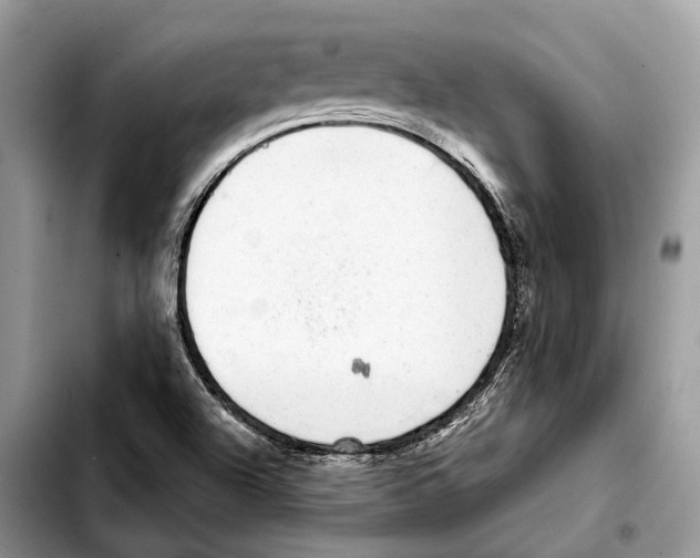 X0000103461504200810101138