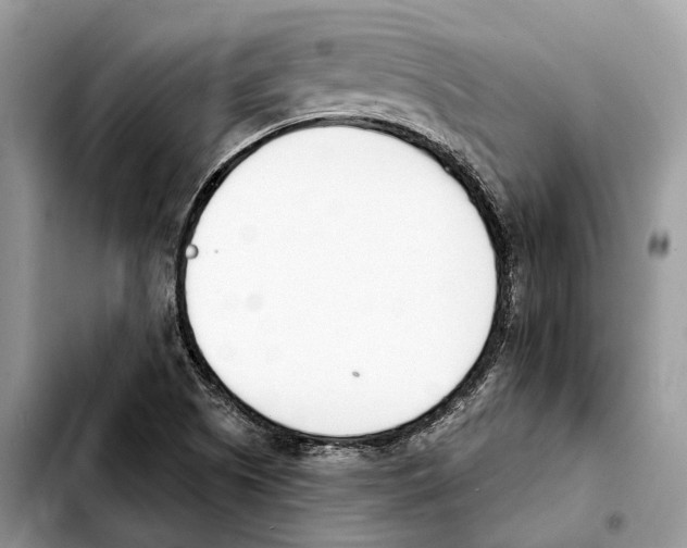 X0000103461505200810101138