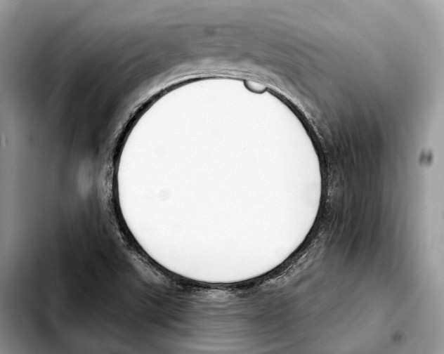X0000103461507200810101138